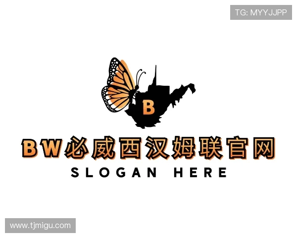 发现bw必威西汉姆